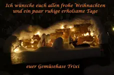 Weihnachten 2012 Garten.webp