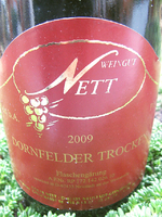 roter.webp