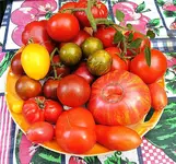BILD7444.webp