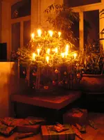 PICT0029.webp