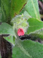 001_576x768.webp