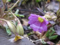 004_1024x768.webp