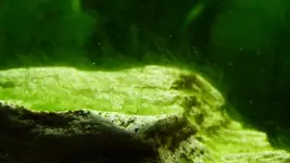 P1030830.webp