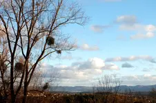 2012_1226Winter0041 wl.webp