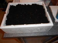 DSCN0041.webp