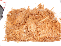 DSCN0036.webp