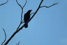 2012_1226Winter0030.webp