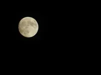128.webp