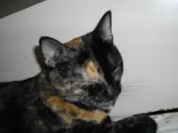 IMGP0441.webp