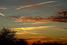 2012_1229Winter0012 a.webp