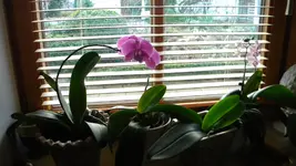DSCN4110.webp