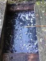 Foto1_klein.webp