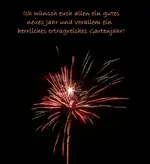 Silvester.webp