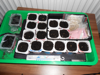 DSCN0049.webp
