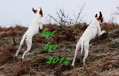 bye bye_2012_1_bb_600.webp