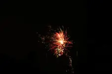 IMG_2679.webp
