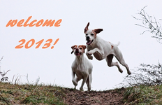 welcome 2013_2_wc_600.webp