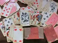 06 scheinfeld.webp