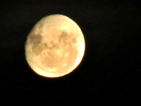 Silvesternacht v (1).webp