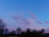 Das neue Jahr erwacht_005.webp