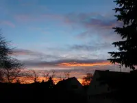 Das neue Jahr erwacht_009.webp