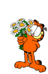 garfield.gif