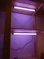 Anzuchtregal1.webp