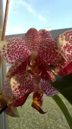 010120131158.webp