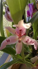 010120131159.webp