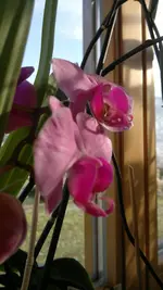 010120131160.webp