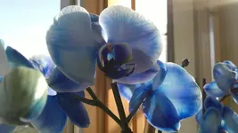 010120131162.webp