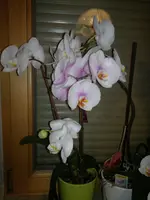 14032012667.webp