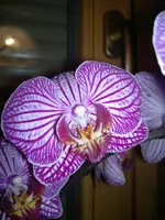 14032012672.webp