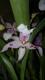 020120131166.webp