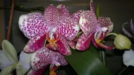 020120131167.webp