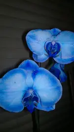 020120131168.webp