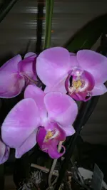 020120131169.webp