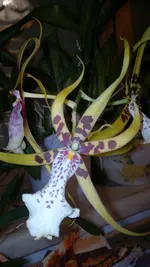 020120131172.webp