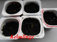 DSCN0078.webp