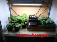 DSCN0085.webp