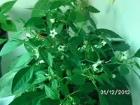 k-BILD2224.webp