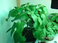 k-BILD2231.webp