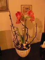 036.webp
