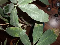 CIMG2868.webp