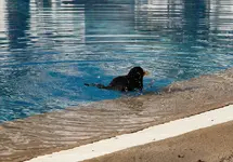IMG_1152.webp