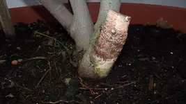 DSCF0959.webp