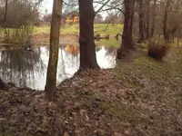 Wellenspiel.webp