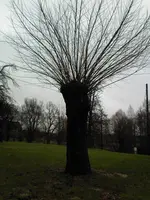 Bild1.webp