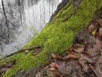 Bild3.webp