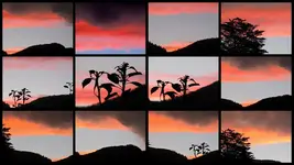 Copy of Nach dem Gewitter 6.1.2013v.webp
